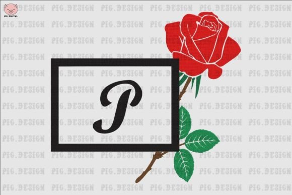 Rose Font P: A Designer’s Review for Sweatshirts